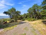 2569 Bull Moose Dr - Photo 38