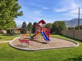 642 60 - Photo 19