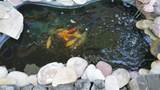 6089 5050 - Photo 21