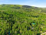 11106 Green Briar Rd - Photo 43