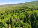 11106 Green Briar Rd - Photo 44