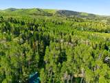 11106 Green Briar Rd - Photo 47