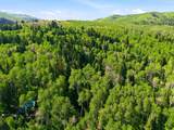 11106 Green Briar Rd - Photo 48