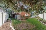 8441 Rua Branco Dr - Photo 43