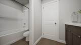 3117 Vesper Sparrow Way - Photo 13