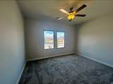 2715 Trasimeno Dr - Photo 5