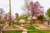 4624 Quiet Cir - Photo 51