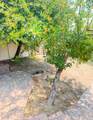 4624 Quiet Cir - Photo 54