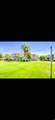1845 Canyon View Dr - Photo 22