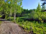 11728 Raccoon Dr - Photo 31
