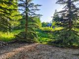 11728 Raccoon Dr - Photo 32