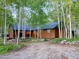 11728 Raccoon Dr - Photo 35