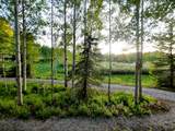11728 Raccoon Dr - Photo 6