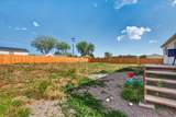 250 200 - Photo 29