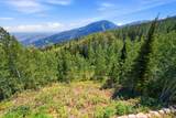 56 White Pine Canyon Rd - Photo 49