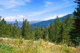 56 White Pine Canyon Rd - Photo 58