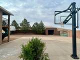 232 475 - Photo 59