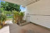 4428 Red Cherry Cir - Photo 24