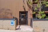 939 Donner Way - Photo 51
