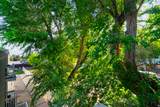 875 Arrowhead Ln - Photo 20