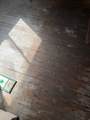 349 Parry St. - Photo 14
