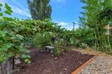 295 100 - Photo 22