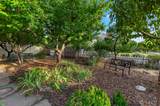 295 100 - Photo 24