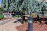 650 300 - Photo 2