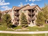 14275 Buck Horn Trl - Photo 5