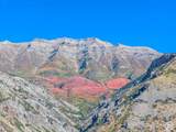 1431 300 - Photo 23