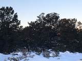  Address Not Published - Photo 5