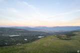 10716 Forest Creek Rd - Photo 71