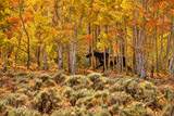 5725 Dry Valley Rd - Photo 1