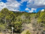 1 S Creek Rd - Photo 14
