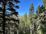 3009 Black Forest Rd - Photo 62