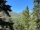 3009 Black Forest Rd - Photo 63