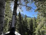 3009 Black Forest Rd - Photo 65