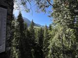 3009 Black Forest Rd - Photo 66