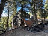 3009 Black Forest Rd - Photo 70