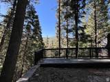 3009 Black Forest Rd - Photo 72