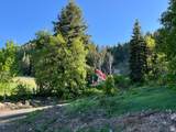 3009 Black Forest Rd - Photo 78