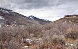 7827 Tall Oaks Dr - Photo 40