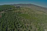 7827 Tall Oaks Dr - Photo 46