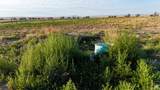 7250 Hanley Ln - Photo 68