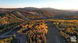 8 Elk - Photo 4