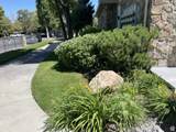 1205 Privet Dr. Dr - Photo 8