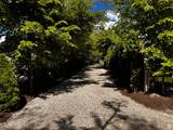4409 Wander Ln - Photo 1