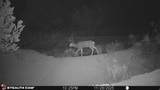 123 Tbd Forest Service Rd 640A (S - Photo 11