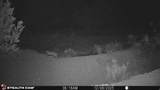 123 Tbd Forest Service Rd 640A (S - Photo 12