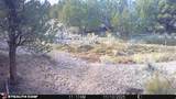 123 Tbd Forest Service Rd 640A (S - Photo 14